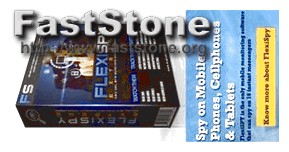 Flexispy en Español Gratis